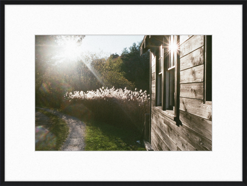 A cabin in Owls Head