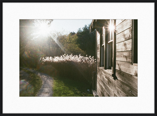 A cabin in Owls Head