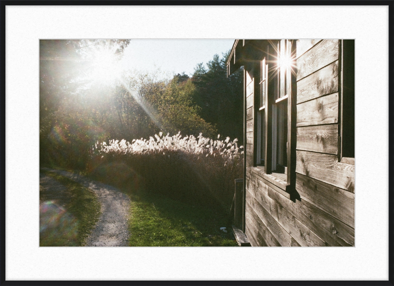 A cabin in Owls Head