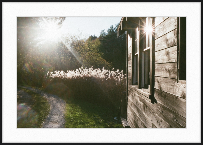 A cabin in Owls Head