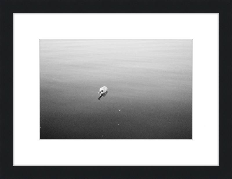 Bouy on the Bay