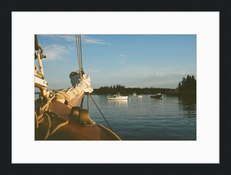 A morning in Burnt Coat Harbor