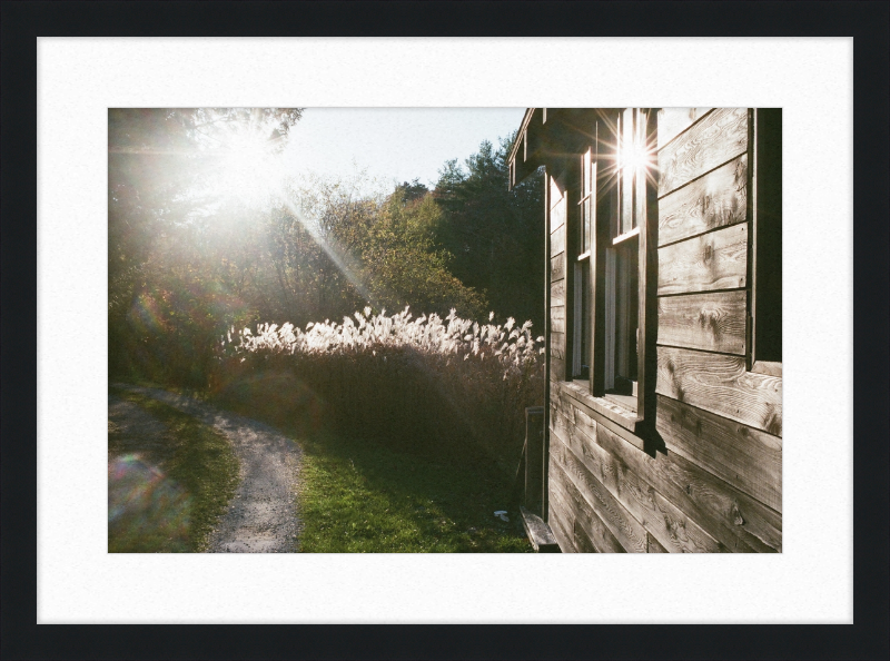 A cabin in Owls Head