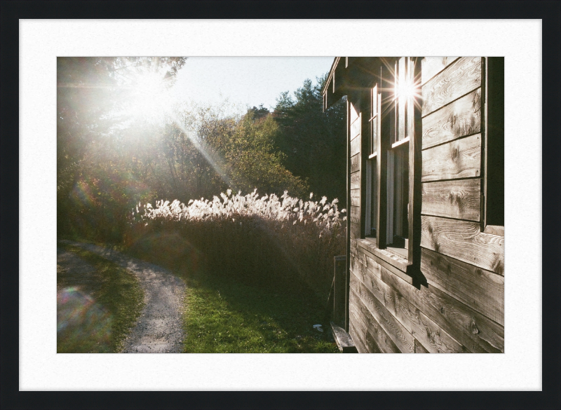 A cabin in Owls Head