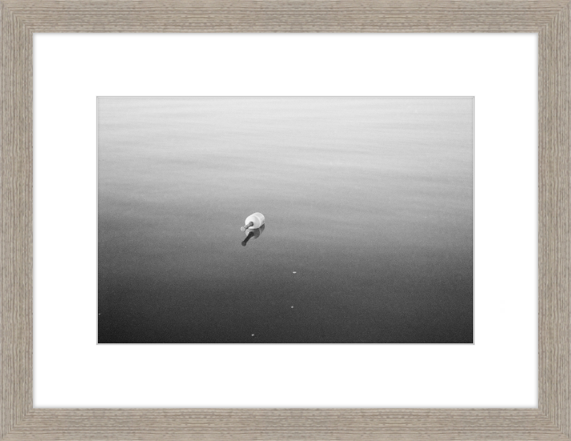 Bouy on the Bay