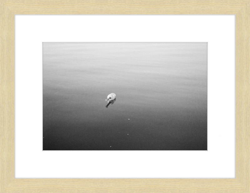 Bouy on the Bay