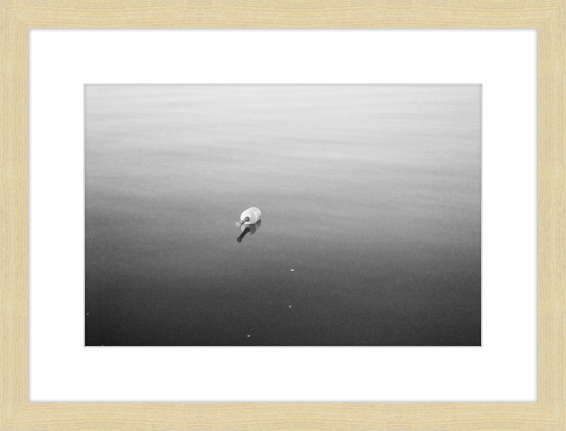 Bouy on the Bay