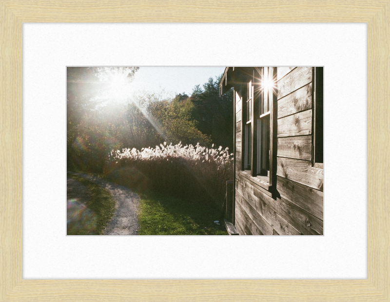 A cabin in Owls Head