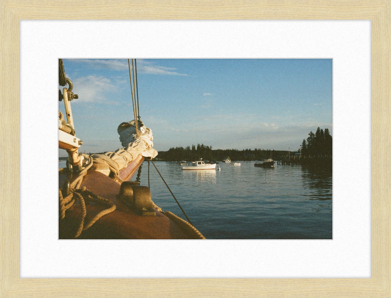 A morning in Burnt Coat Harbor