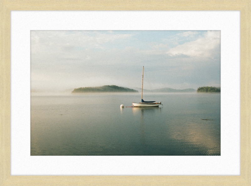 A morning in Castine