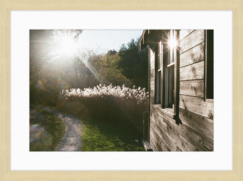 A cabin in Owls Head