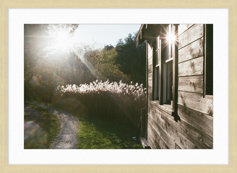 A cabin in Owls Head