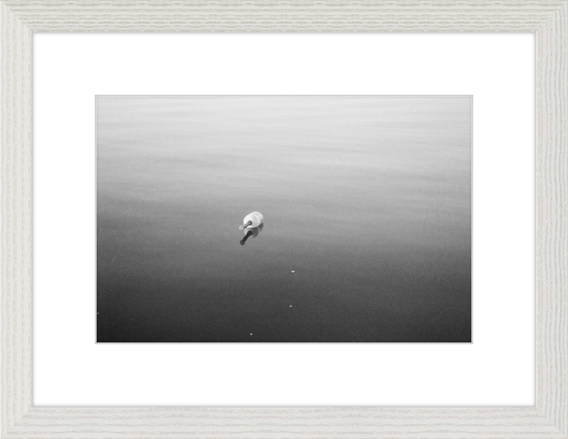 Bouy on the Bay