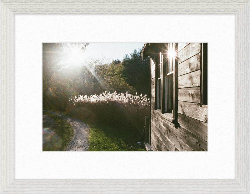 A cabin in Owls Head