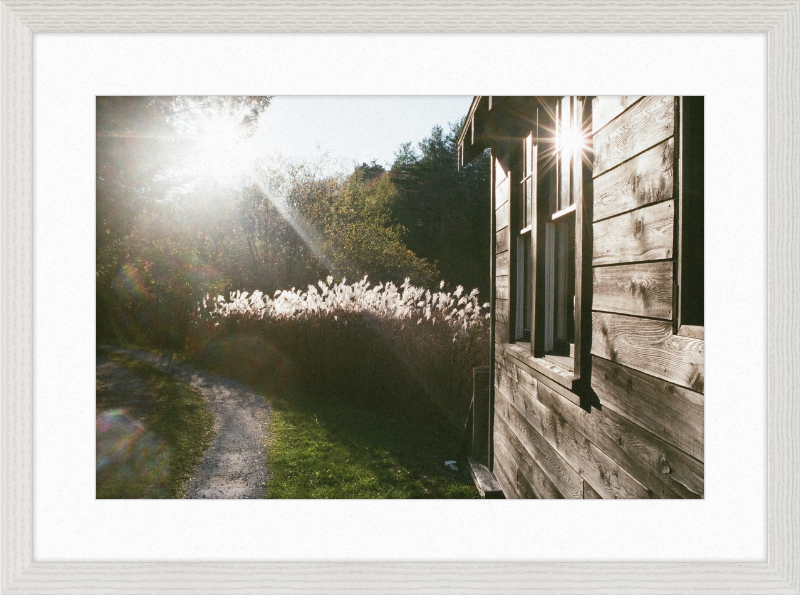 A cabin in Owls Head