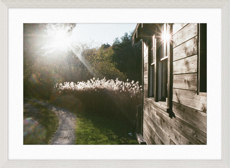 A cabin in Owls Head