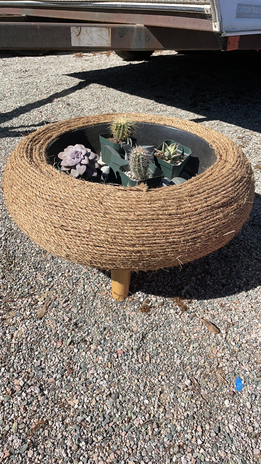 Manilla succulent garden with 4" legs