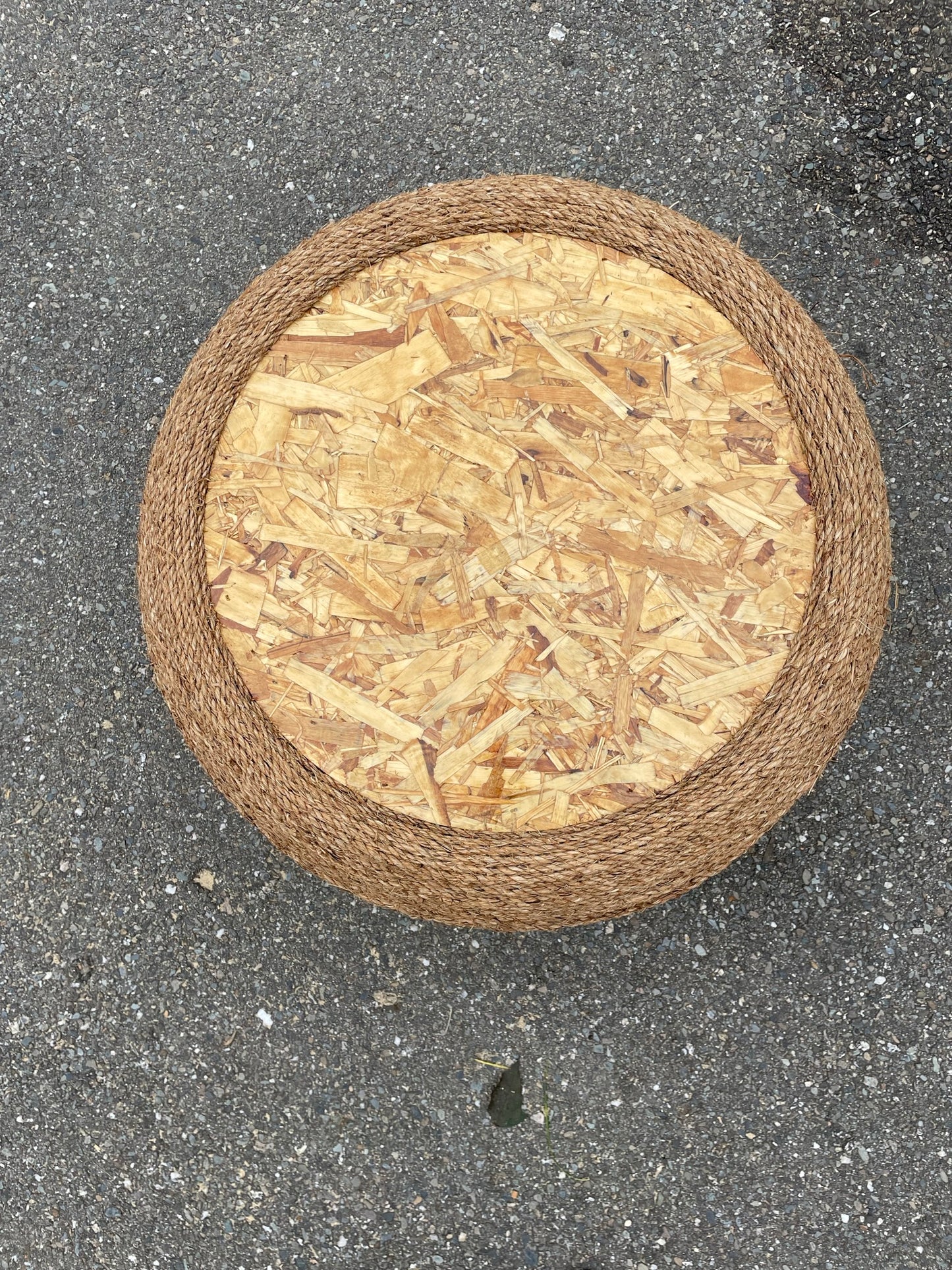 The Naturalist: Chopper Motorcycle Tire with Varnished plywood top